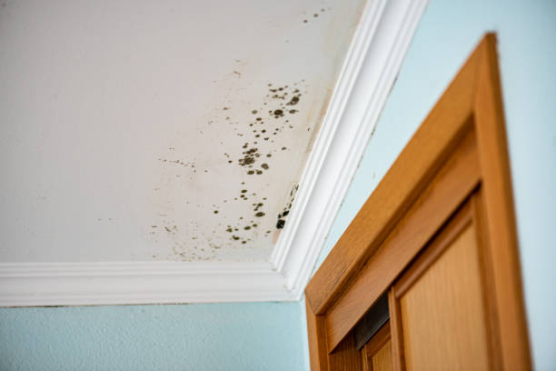 Water Damage Restoration in Edina, MO